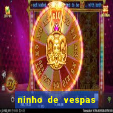 ninho de vespas significado espiritual